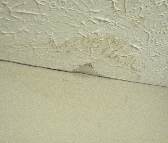 An example of rising damp